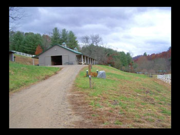 horse stables asheville