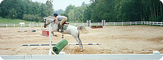 Asheville Stables
