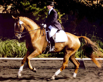 Debra Thomas Riding Instructor